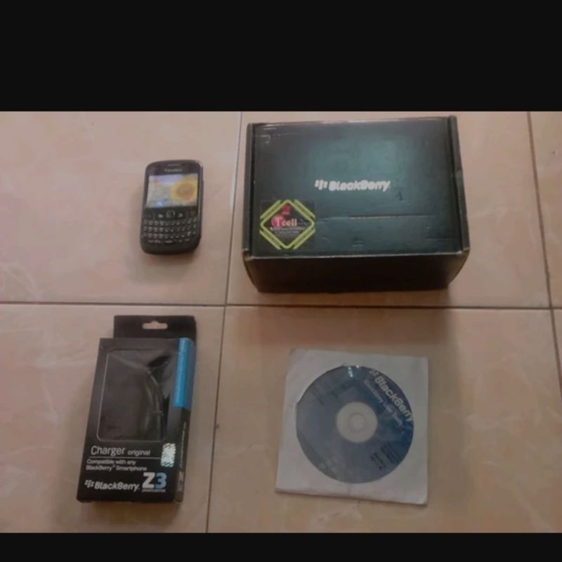 Blackberry Curve - HP
