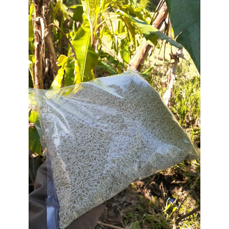 

Beras Ketan putih petani tradisional ½kg 1 kg ketan putih lokal
