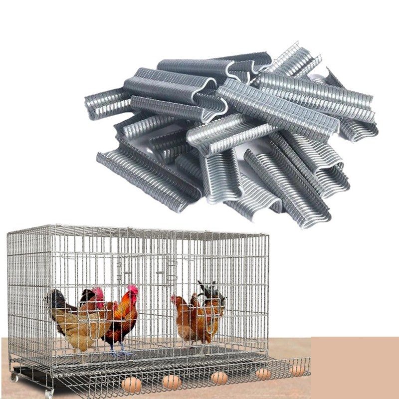 M Ring Kandang Pengikat Kandang Ayam Staples Kandang