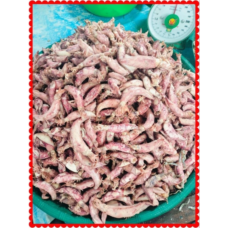 

Cumi Kering Kualitas Terbaik 500gr
