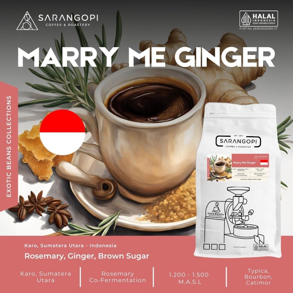 

Arabica Marry Me Ginger Coffee Filter Manual Brew V60 - Sarangopi Coffee Beans