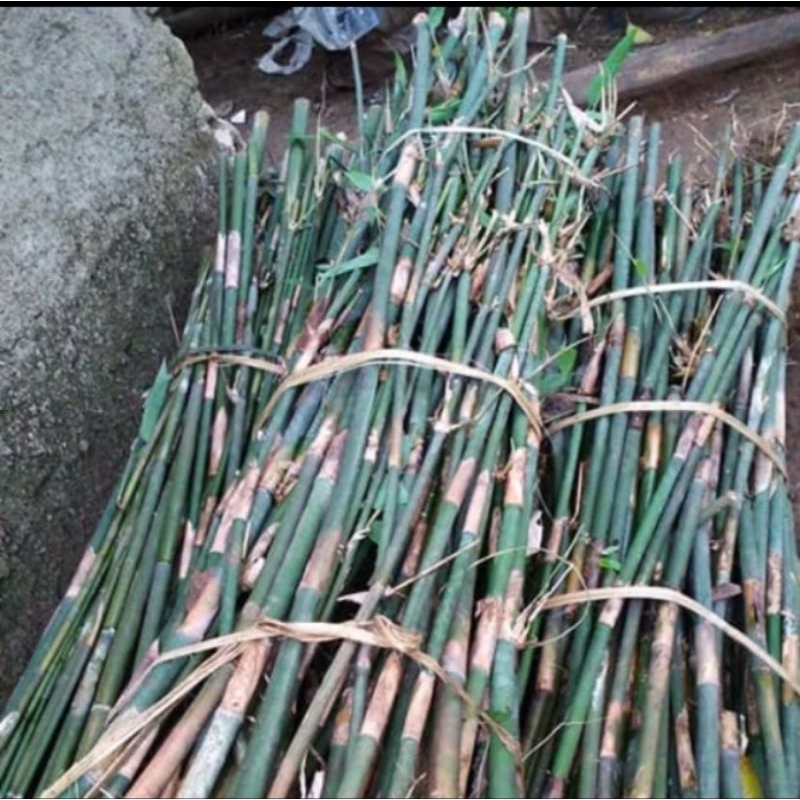bambu  bulat bulat,ajir turus tanaman 1meter