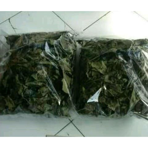 

Terbaik 100 Gram Daun Kejibeling / Keji Beling Kering
