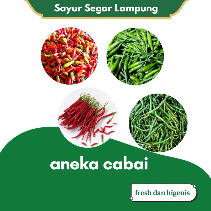 

Cabe Aneka Cabai Merah Rawit Caplak Hijau Keriting Sayursegarlampung