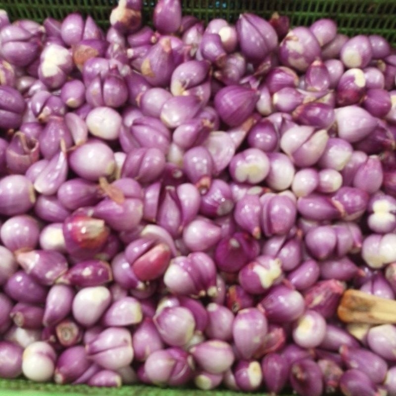 

bawang merah kupas 250 gram