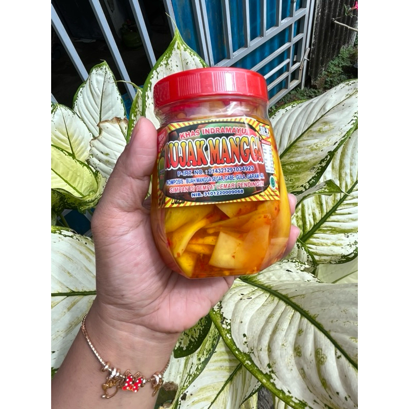 

Rujak Mangga Indramayu