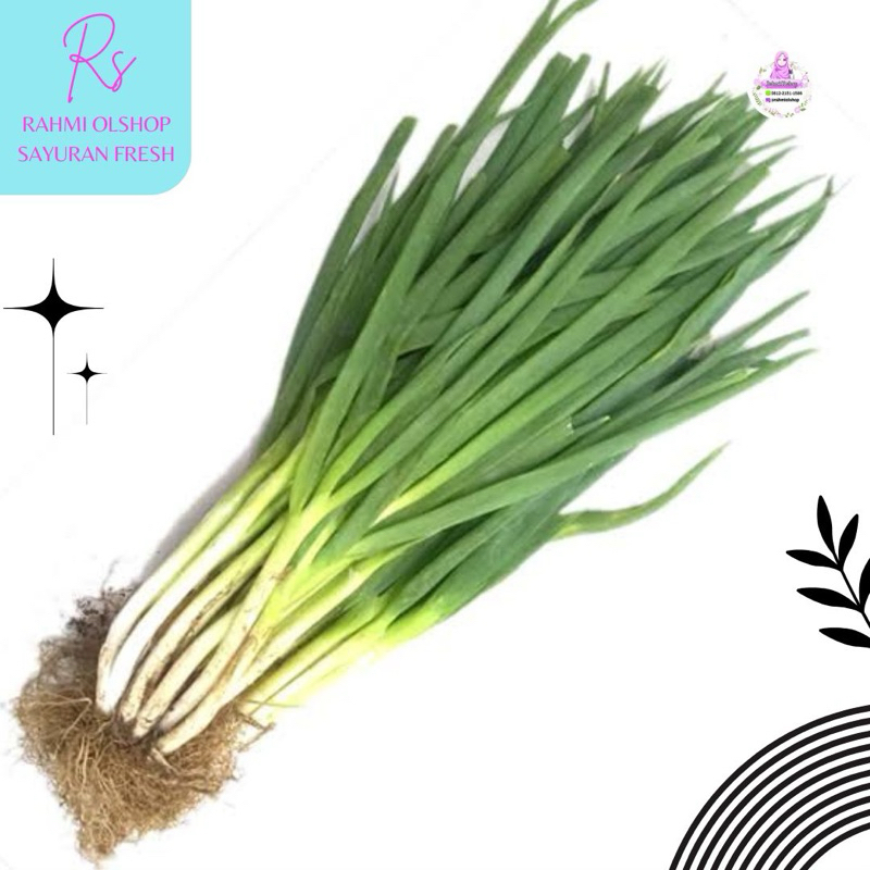 

Big Sale Daun Bawang 100grm - KIRIM INSTANT