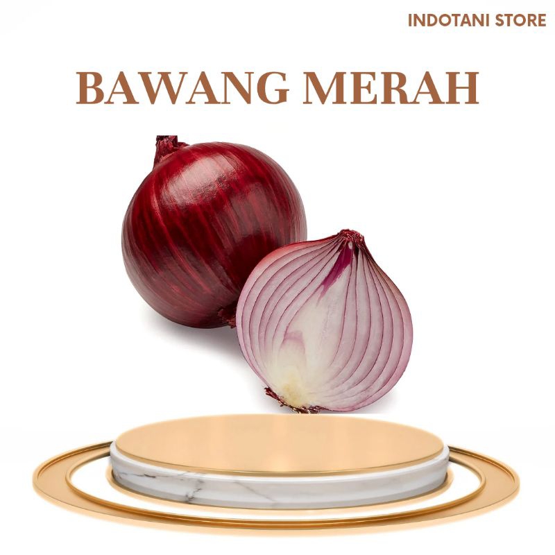 

INDOTANI_ Bawang Merah 250gr Kualitas terbaik / Bawang Merah Asli Gunung Talang