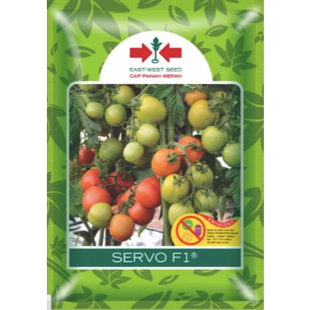 

150 BUTIR BENIH TOMAT SERVO F1 EXP 2026