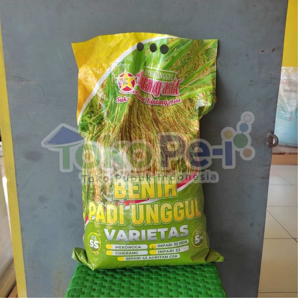 Benih Padi Varietas Inpari 32