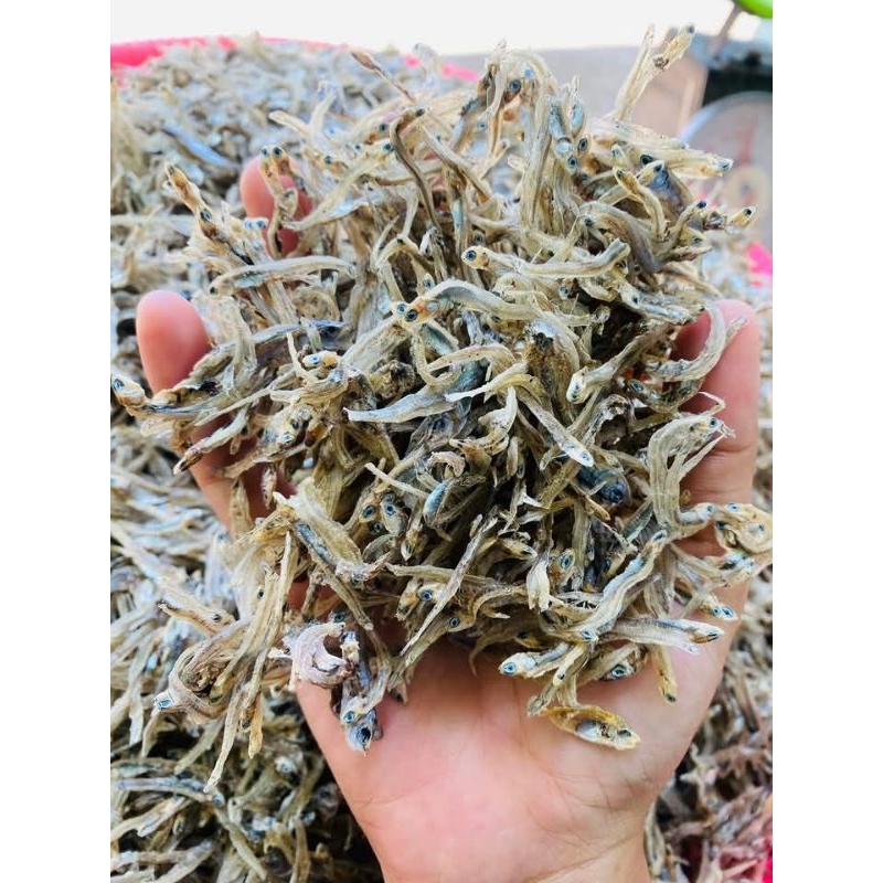 

ikan Tri ambarot dari lombok ntb