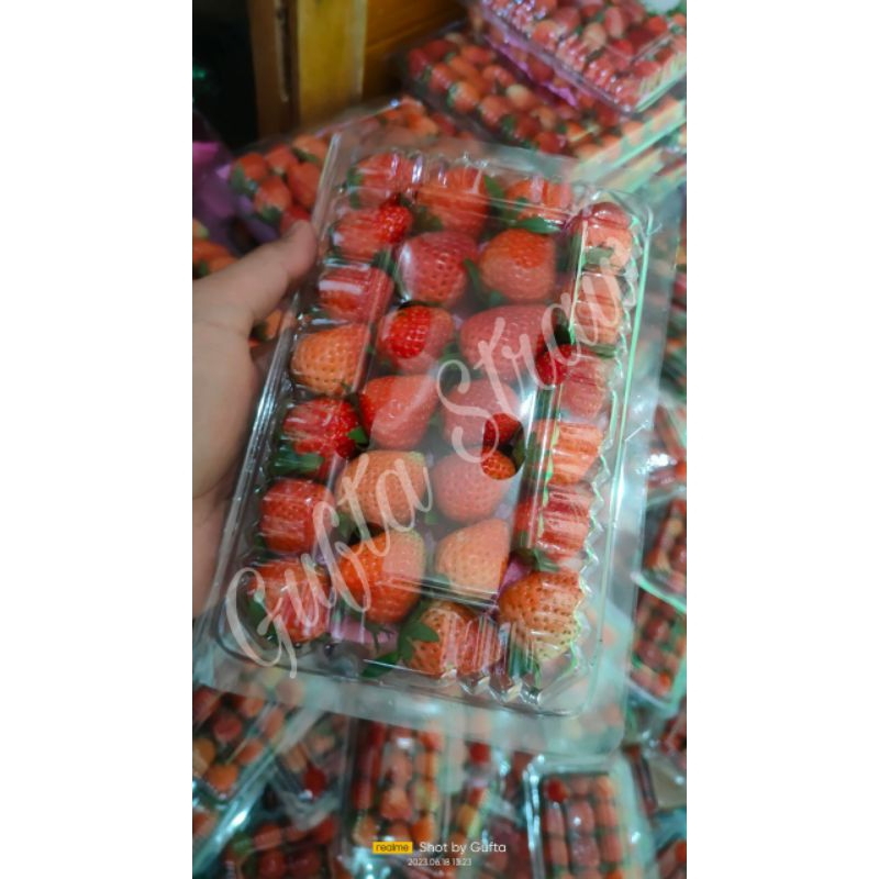 

FRESH FRUIT / BUAH STRAWBERRY SEGAR CIWIDEY | MENCIR