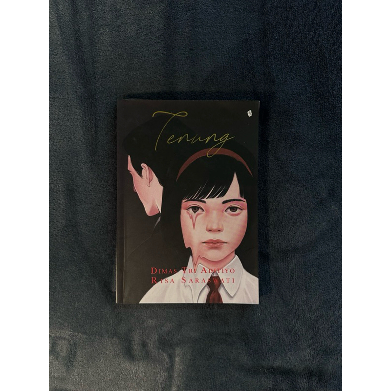 Preloved Novel Tenung by Risa Saraswati