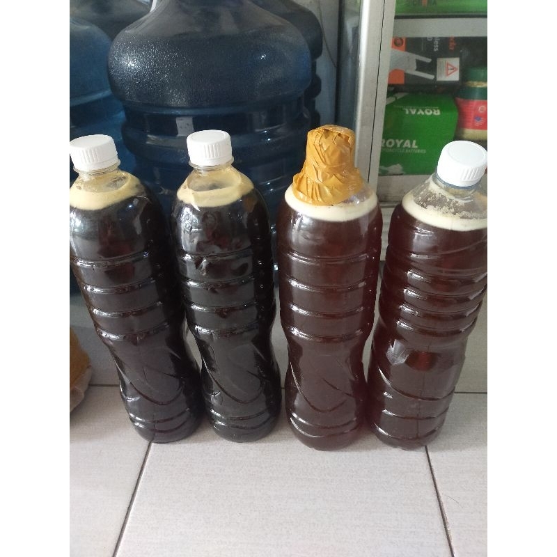 

madu kelanceng hutan