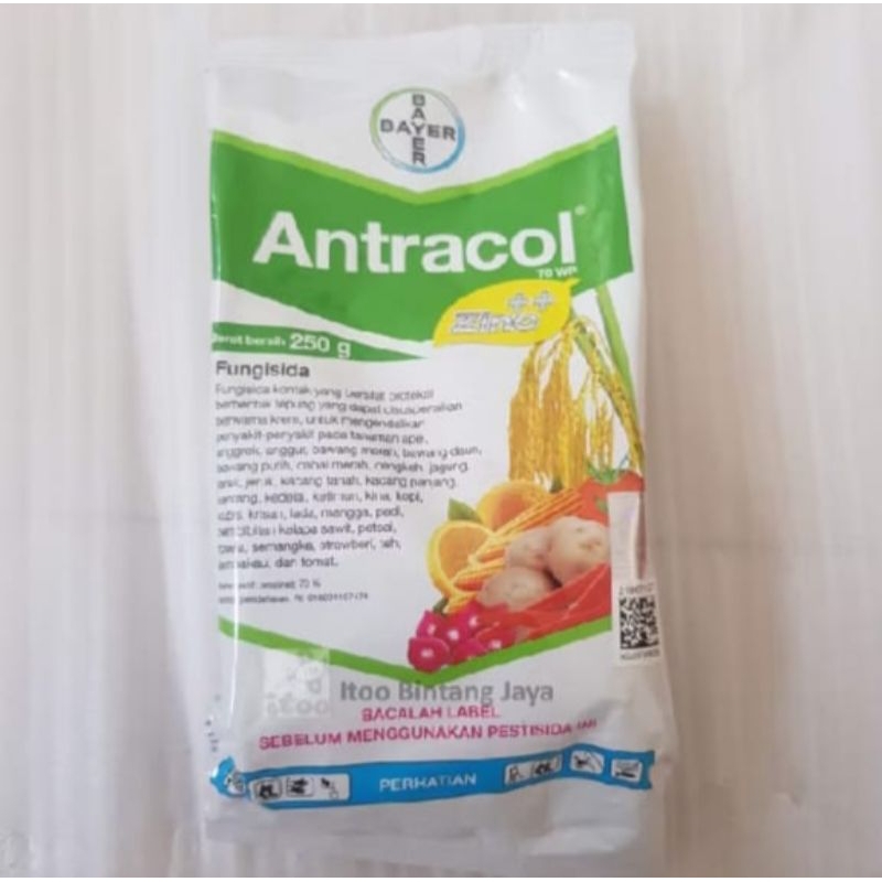 Antracol 70wp 250gram