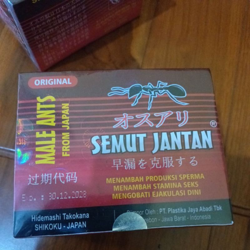 semut jantan