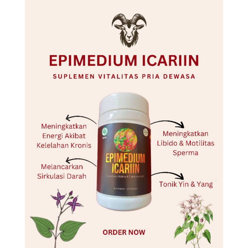 EPIMEDIUM ICARIIN/HORNY GOAT WEED