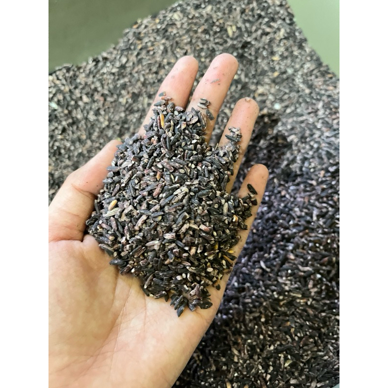 

KETAN HITAM SUDAH DI SOSOH