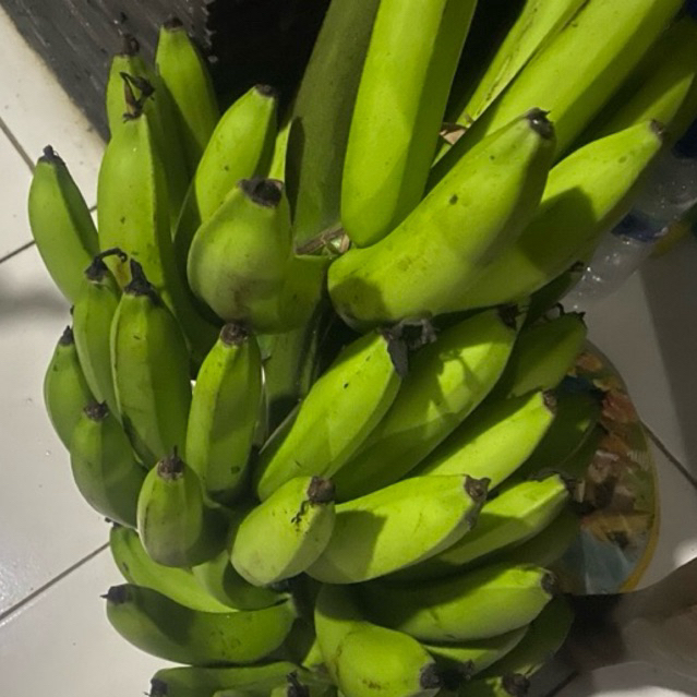 

Buah Pisang Matah DRM 1 Kg Pisang Mentah