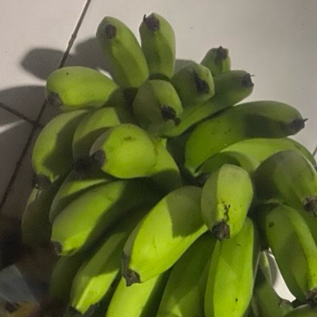 

Buah Pisang Matah Drm 100 Gram Pisang Mentah