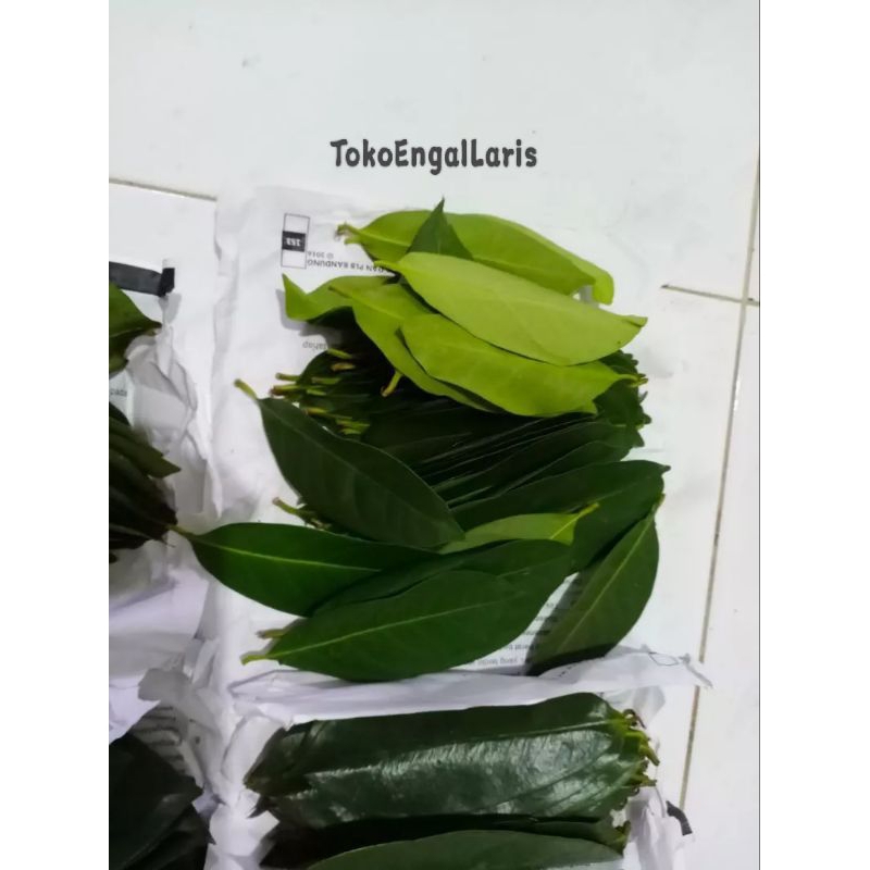 

Daun Salam Segar isi 50pcs Rempah Masakan