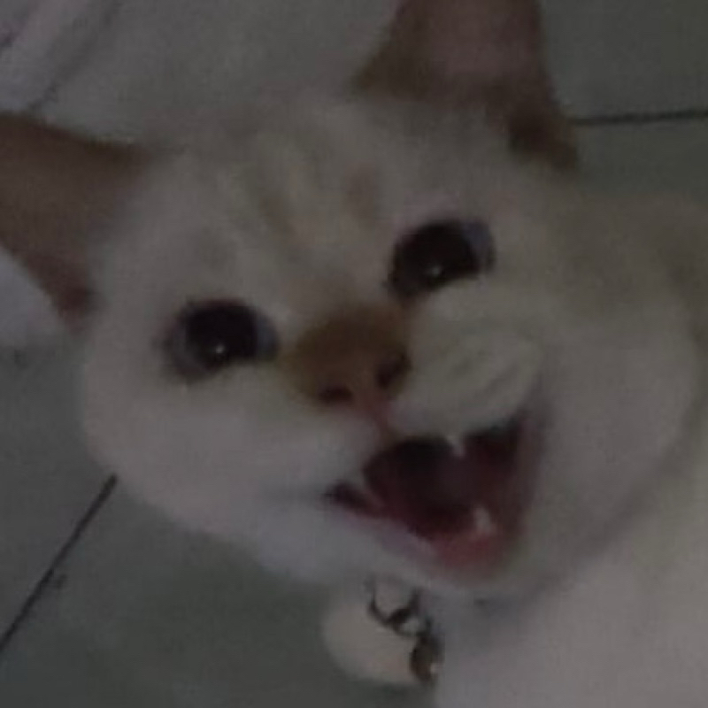 

pocii