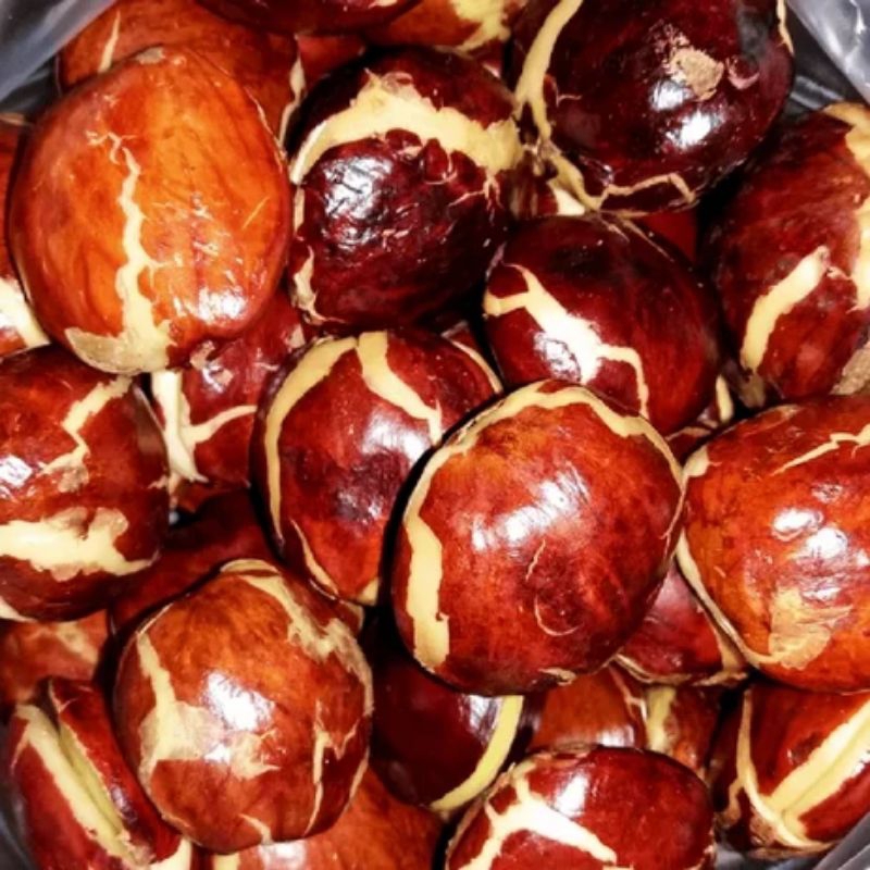 

jengkol tua mentah 1kg