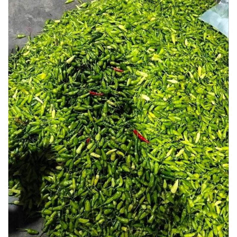 

Cabe Rawit Ijo Fresh.