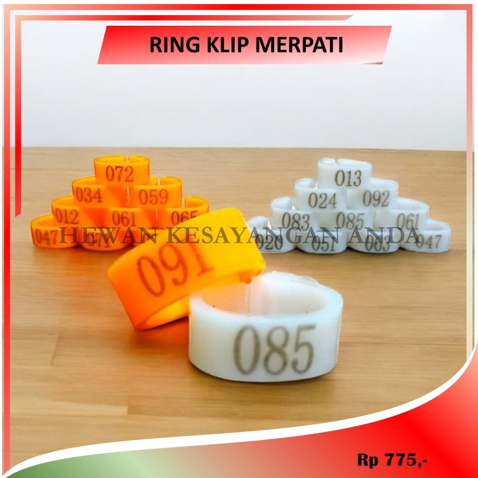 Ring Burung Merpati Ring Jepit Gelang Kaki Burung Merpati Dara