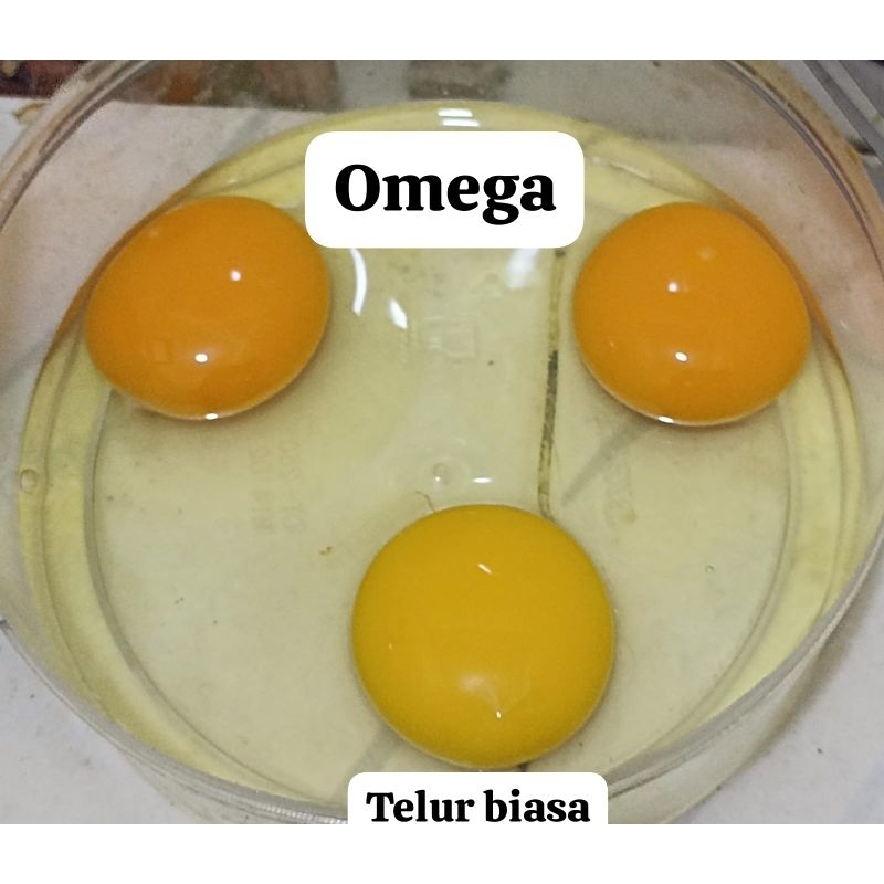 

TELUR OMEGA PREMIUM FRESH 1KG