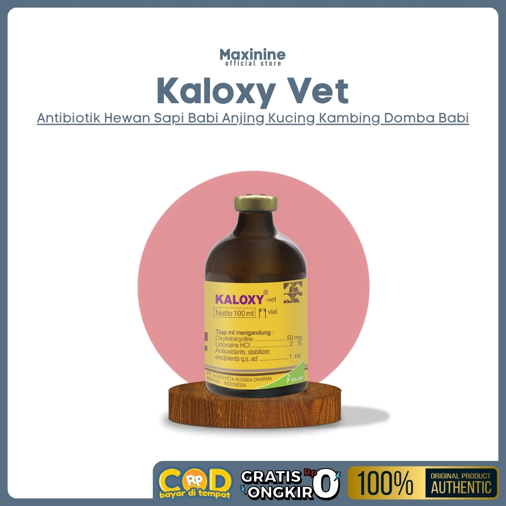 KALOXY VET OXY obat antibiotik hewan 100ml | maxinine