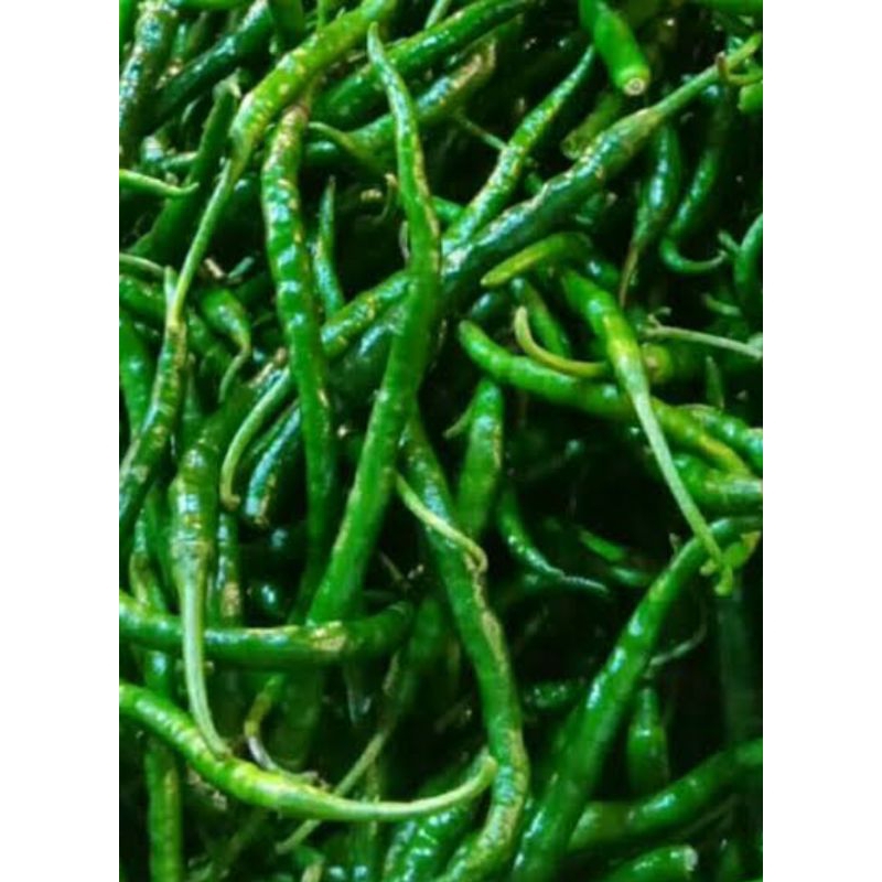 

hijau kriting segar baru bagus fress 1kg