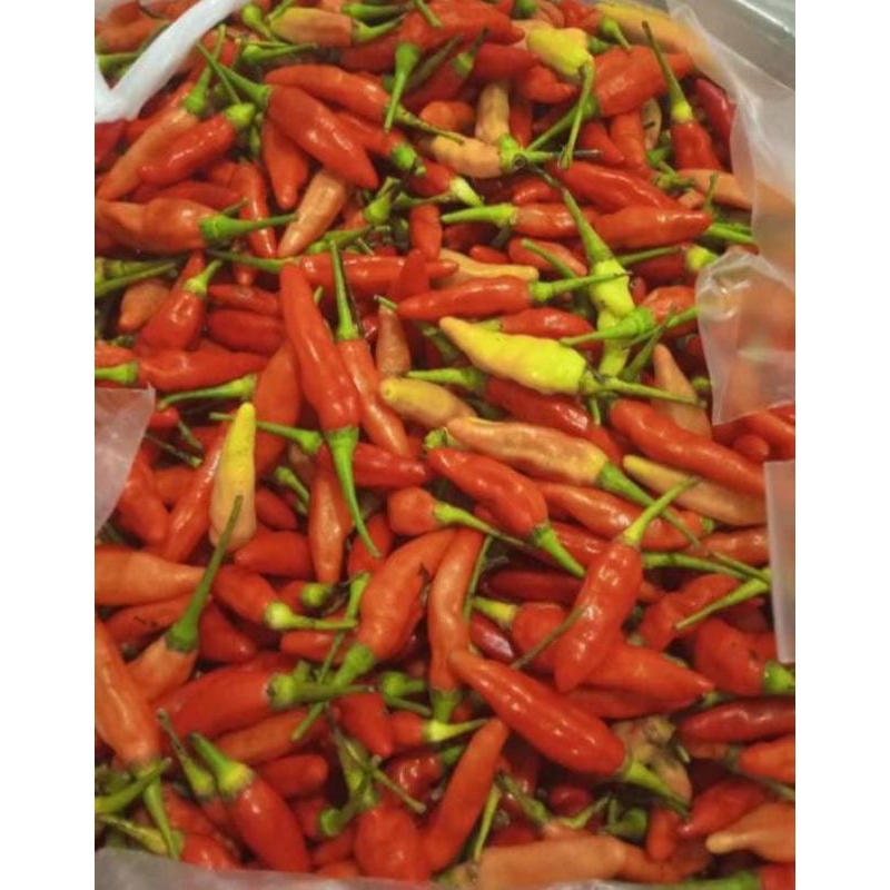 

Cabe Sret Ori 1 kg.
