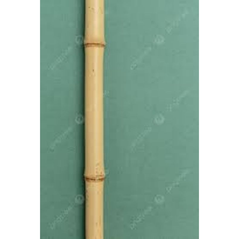 tongkat bambu kuning asli tinggi 150