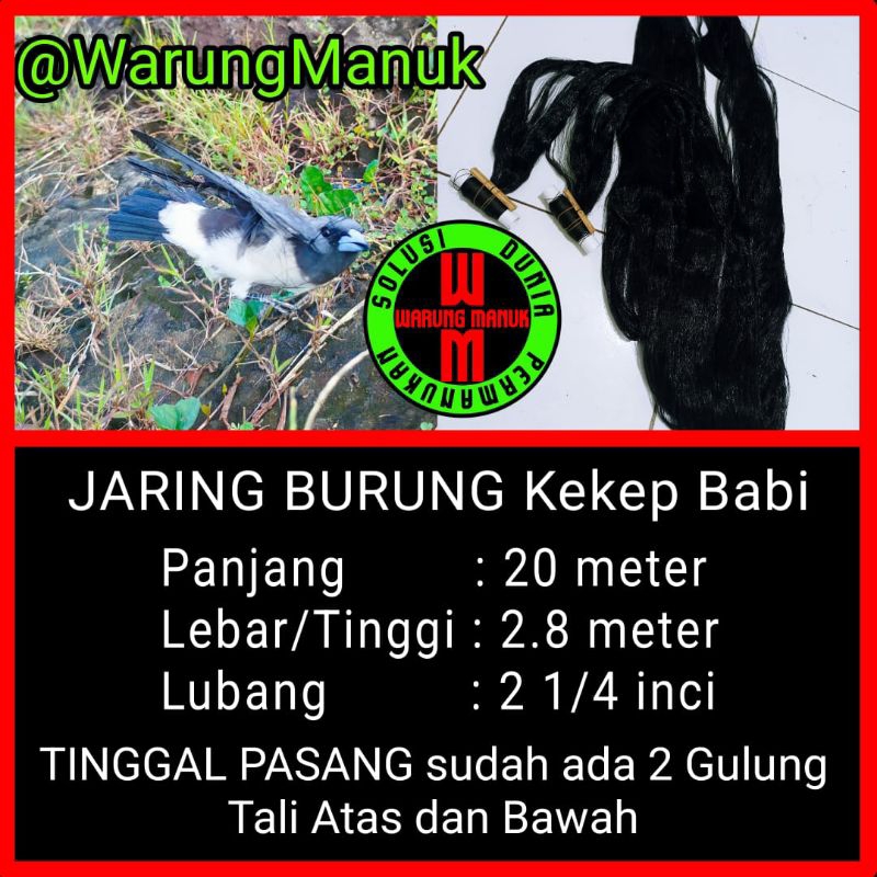 Jaring burung kekep babi 20 meter, jebakan burung kekep babi, perangkap burung kekep babi, jaring bu