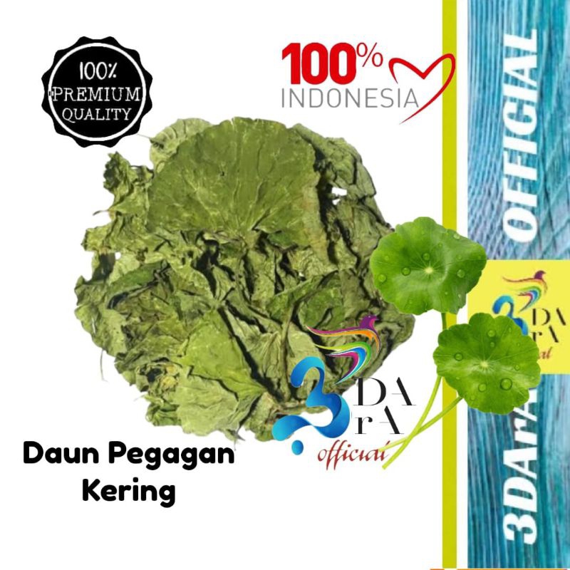 

Daun Pegagan Kering 100gr / 500gr - Antanan - Kaki Kuda Asli Kualitas Premium
