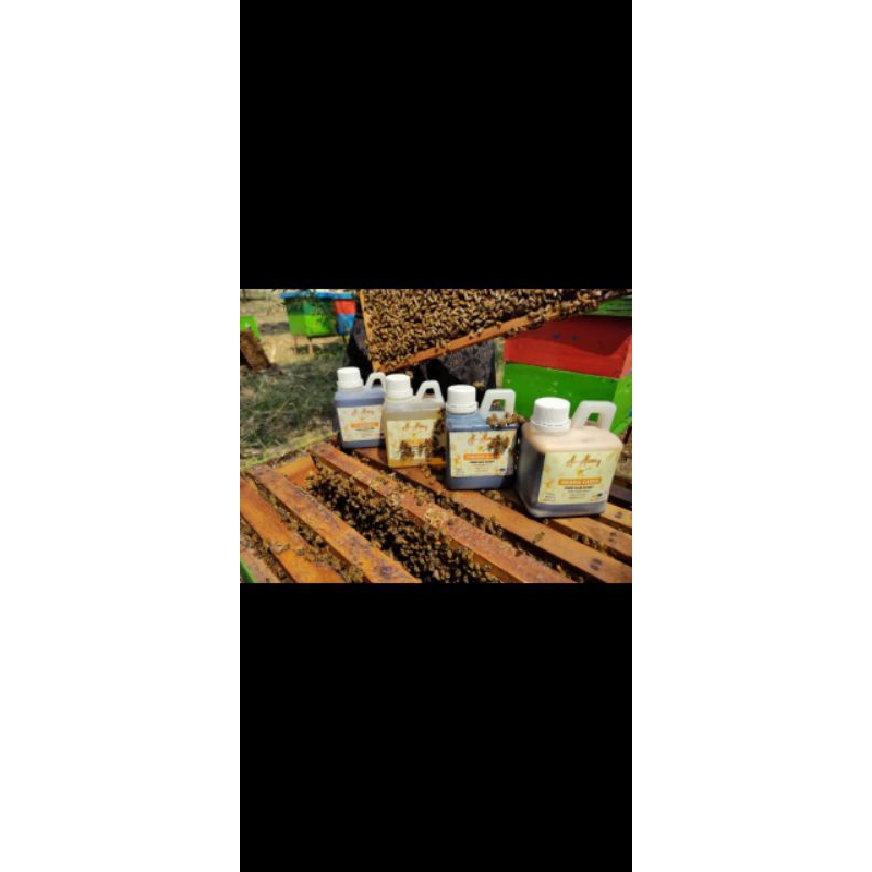 

MADU ASLI 100% MADU KELANCENG, AKASIA CARPA, MAHONI (pahit), MULTIFLORA