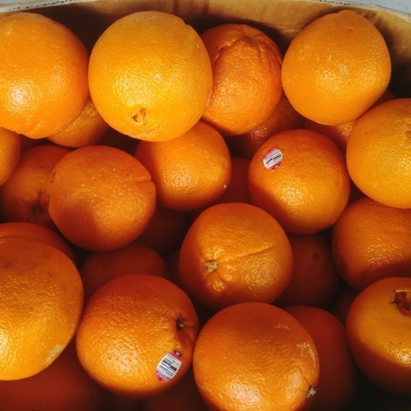 

JERUK SUNKIST NAVEL
