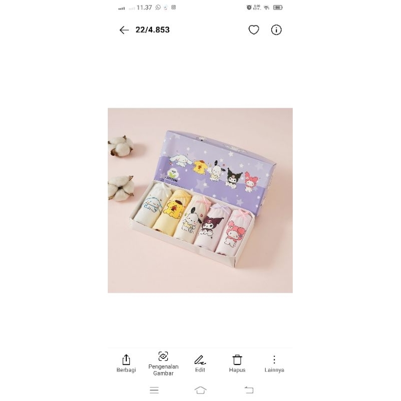 cd girl 5in1 100% cotton