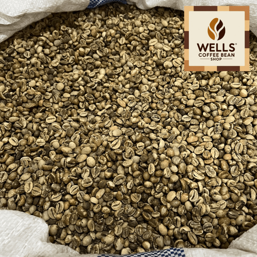 GREEN BEAN BIJI KOPI MENTAH ROBUSTA LAMPUNG GRADE 3 - 1 KG