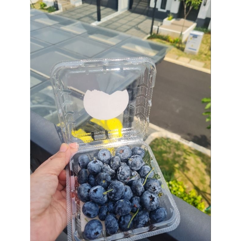 

Blueberry Yunan 125 gram