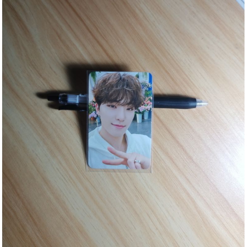 Dino Seventeen POB Shopee FS Sector 17 S17