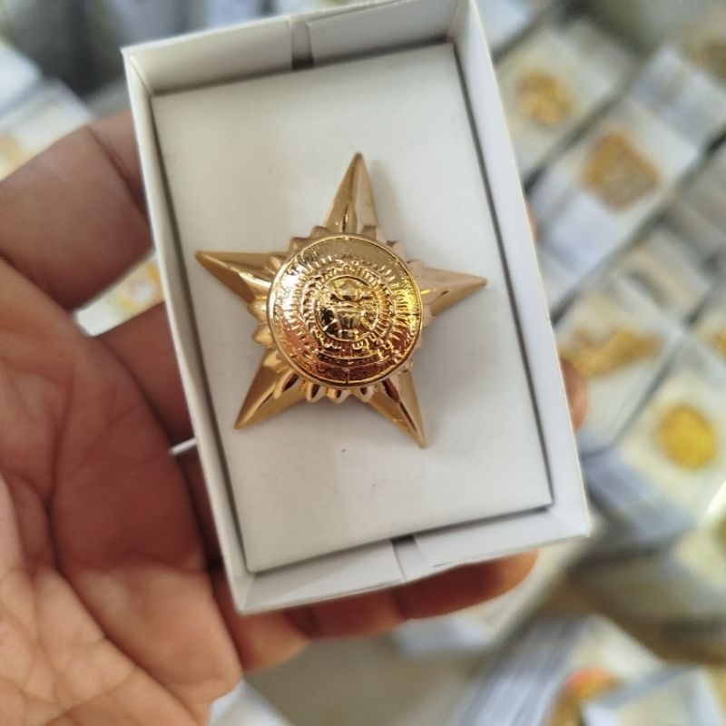 brevet wing pin seskoad tni ad