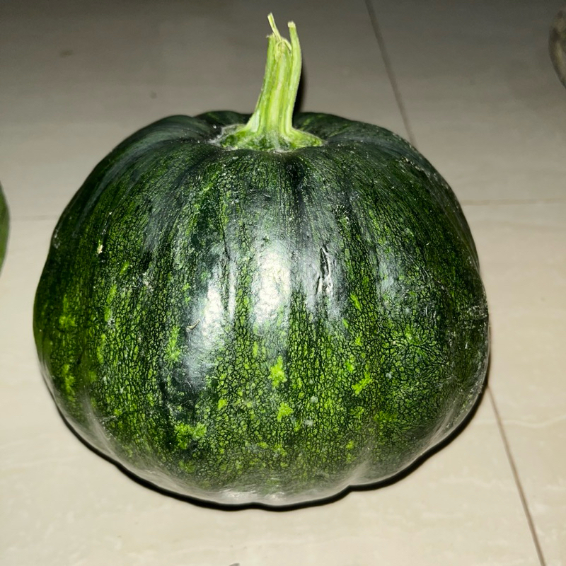 

sayur kento/labu sayur