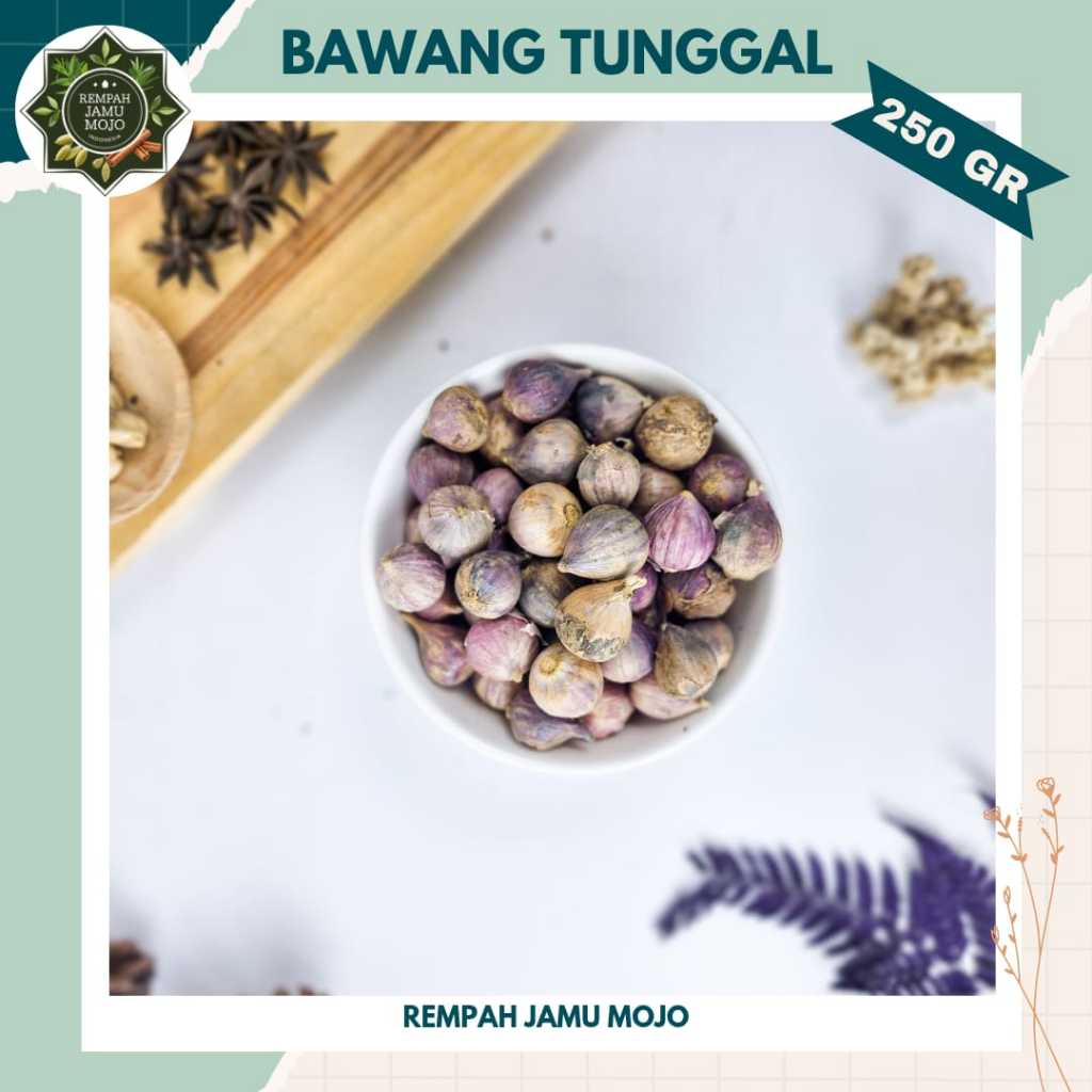 

Bawang Tunggal 250gr Bawang Lanang Kualitas Premium JSR