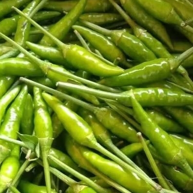 

Rawit Hijau Japlak Caplak 1kg