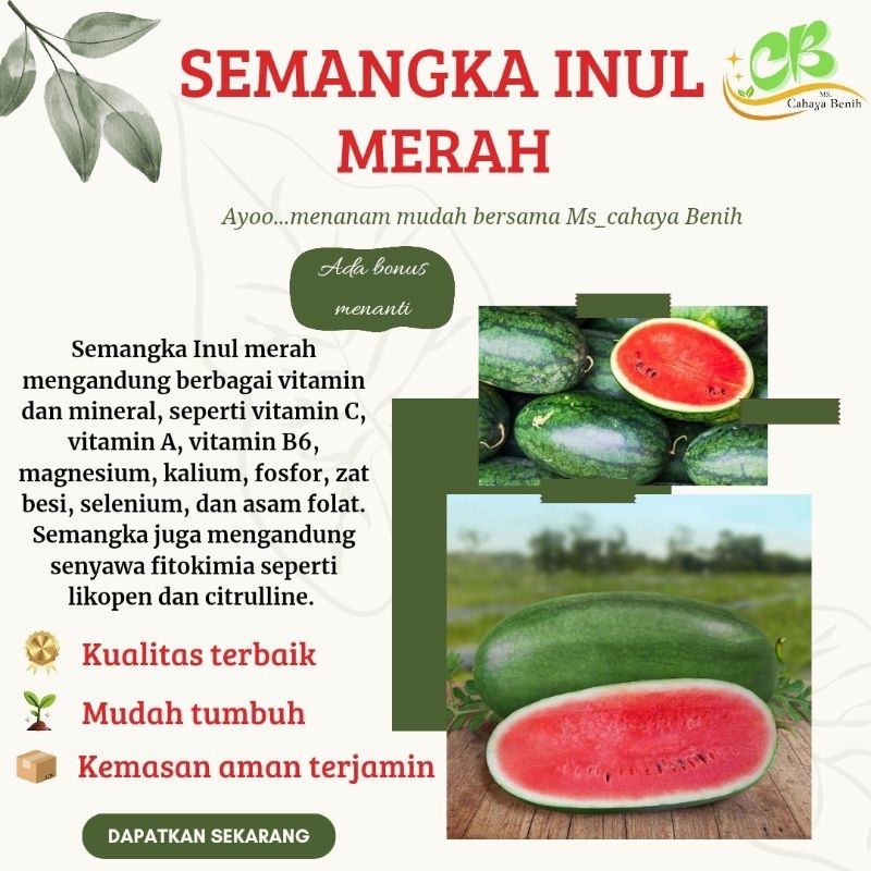 Benih semangka inul merah (100 gram) , bibit semangka inul merah