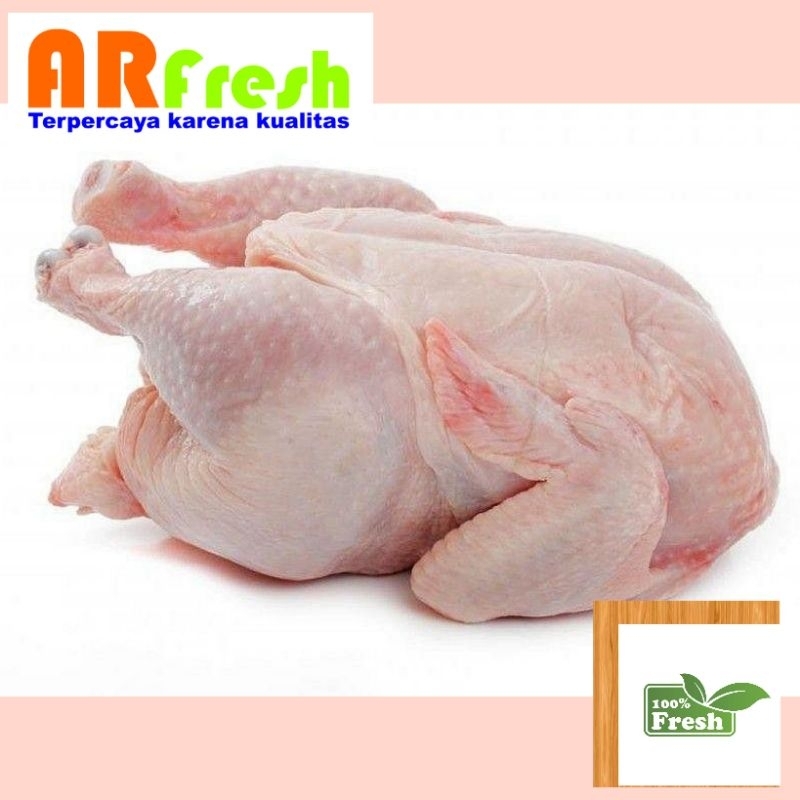 

Ayam Potong 1 Ekor (1.1-1.2 Kg)