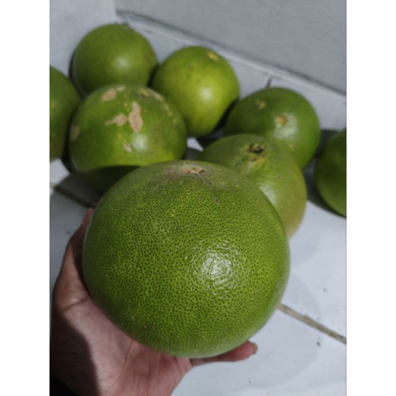 

Pamelo jeruk Muria super segar manis berat 800 g ( 8 ons )