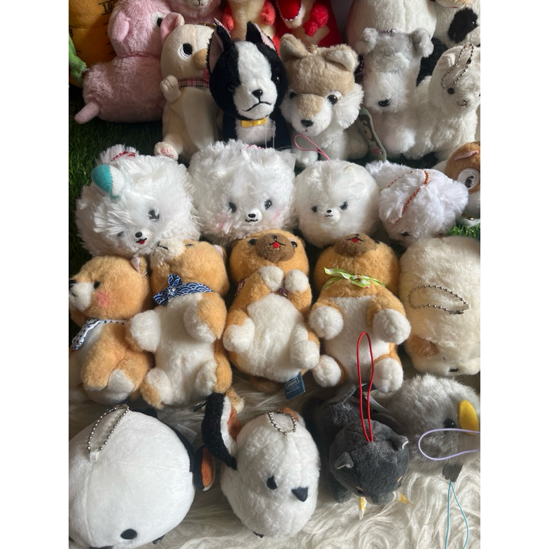 GANCI  AMUSE / AMUFUN ORIGINAL